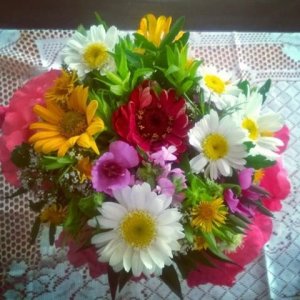 11703201_1058289344182052_1762824235099104522_n