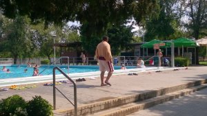 13626387_1343679632309687_1687740256973982190_n