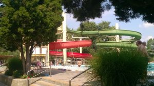 13680640_1343679555643028_7857297631180851943_n