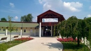 13781672_1343678625643121_2856882450163630101_n