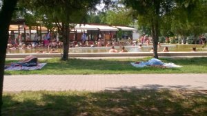 13782194_1343679192309731_93183839994027123_n