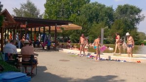 13872923_1343680518976265_4054396190125425328_n