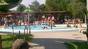 13876583_1343678905643093_1786671641821463871_n