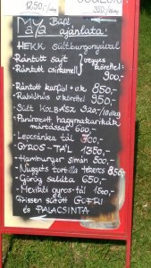 13887083_1343680085642975_8038355512123762530_n