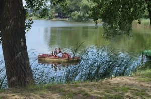 13891962_1358693374141646_5715864995490775752_n