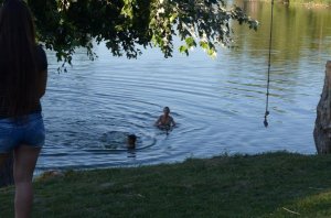 13901407_1358726450805005_7269479801496578501_n