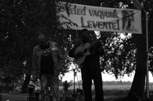 13962525_1358730130804637_6648606780505078480_n