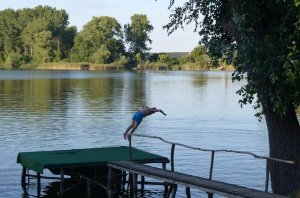 13962728_1358726637471653_1843564811249217084_n