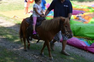 14022204_1358676414143342_6576709968617288560_n