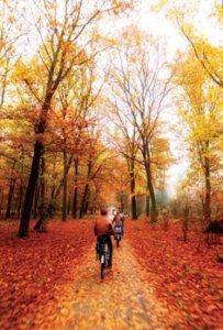 8fba473543f6b7b27d490452c97160c7