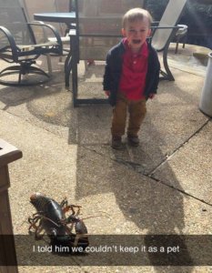 13528685_959314974191155_3532098293208336112_n