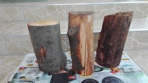 14470424_1412219078789075_7878203418545278748_n