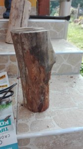 14502826_1412218992122417_4223508004296896014_n