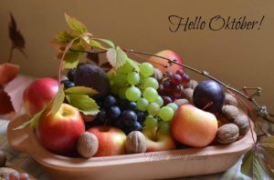 14519713_1409753499035633_1156956381818180840_n