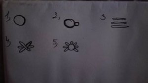 14721515_1442243222453327_3057576477089108254_n