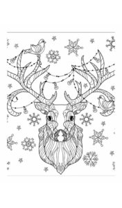 17d6dcf2dbe1d58831b24cd56131dc1c